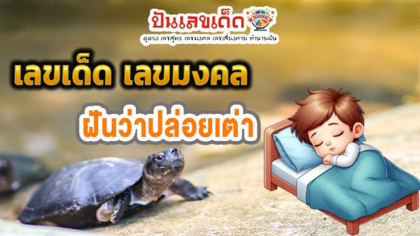 เลขฝันเห็นเต่าตัวใหญ่-"Dream numbers seeing a big turtle"