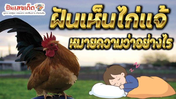 ฝันเห็นไก่แจ้-''Dream of seeing a bantam chicken''