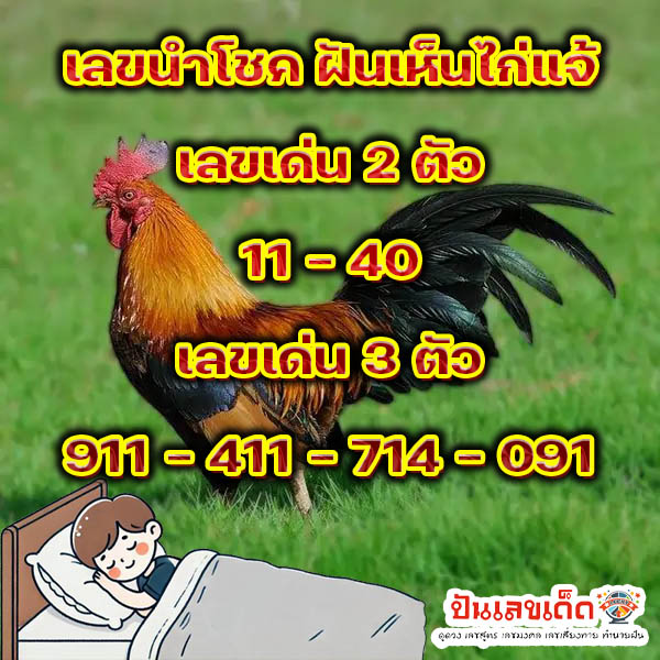 ฝันเห็นไก่เป็นฝูง-''Dream of seeing a flock of chickens''