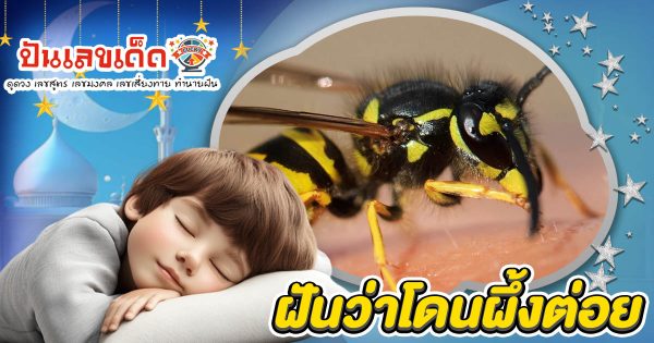 เปิดคำทำนาย ฝันว่าโดนผึ้งต่อย ทำนายว่าอย่างไร? พร้อมเลขเด็ด แม่นๆ ที่เกี่ยวกับความฝัน เเจกฟรี เช็กเลย !