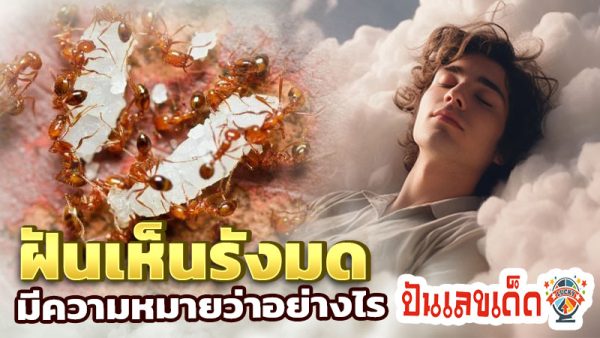 ฝันเห็นรังมด -"Dream of seeing an ant nest"