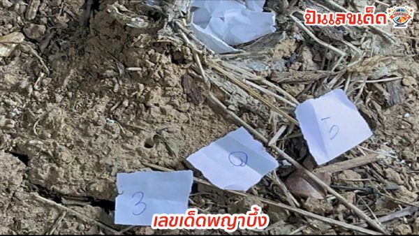 เลขเด็ดพญาบึ้ง-แม่ตะเคียนปลดหนี้-"Phaya Bueng's lucky numbers - Mae Takhian pays off debt"