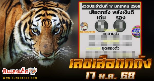 แนวทางลุ้นโชค หวยรัฐบาลไทย เลขหวยดัง เลขเสือตกถัง 17 01 68 ที่คอหวยห้ามพลาด!