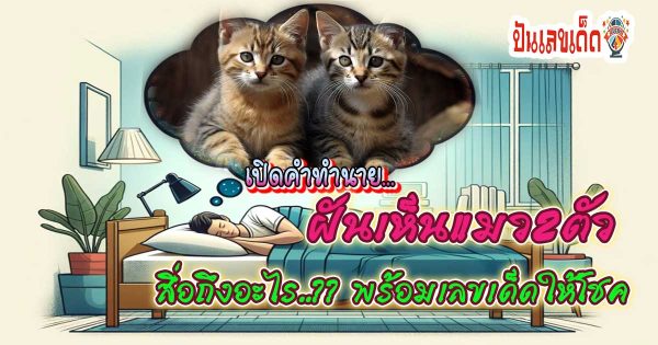 ฝันเห็นแมว 2 ตัว-"Dreaming of 2 cats"
