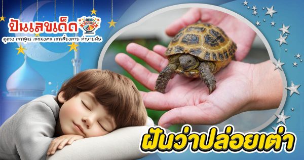 เปิดคำทำนายฝันว่าปล่อยเต่า หมายถึงอะไร? ทำนายฝันพร้อมเลขเด็ดให้โชค ห้ามพลาด เช็กเลยที่นี่ ฟรี ไม่เสียเงิน !!