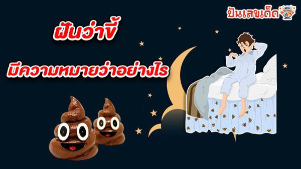 รูปภาพฝันว่าขี้ของ heng99