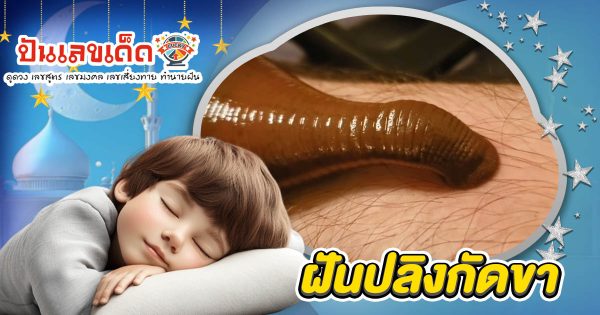 เปิดคำทำนาย ฝันปลิงกัดขา ทำนายว่าอย่างไร? พร้อมเลขเด็ด แม่นๆ เช็กเลย !