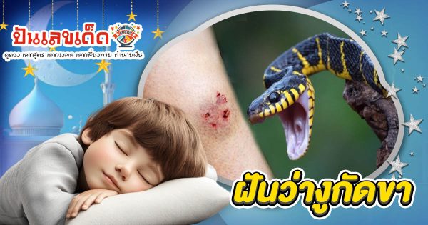 ฝันงูกัดขา ฝันว่าโดนงูกัด มีลางดีหรือลางร้าย? เช็กคำทำนาย พร้อมเลขเด็ดที่นี่!