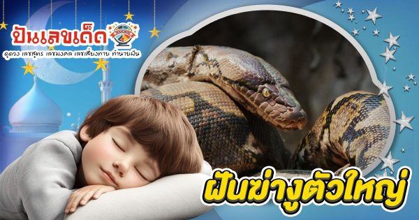 ฝันฆ่างูตัวใหญ่ สื่อถึงอะไร? ลางบอกเหตุหรือโชคก้อนโต? เช็กเลขเด็ดที่นี่!