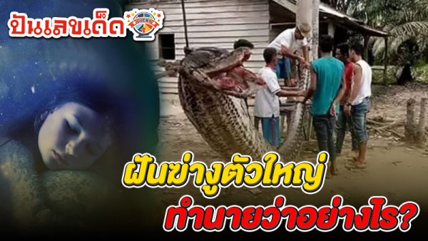 รูปภาพทำนายฝันว่าฆ่างูตัวใหญ่ของ lekdedonline