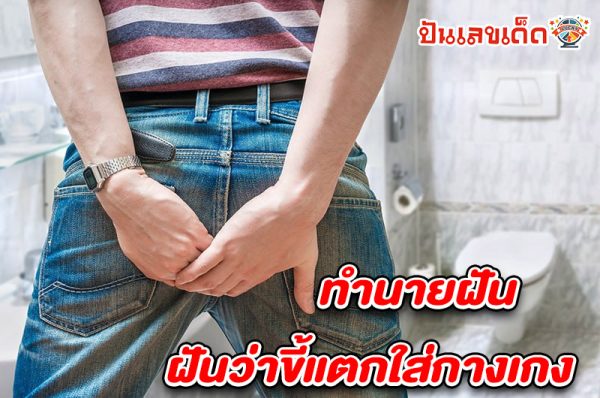 รูปภาพฝันว่าขี้แตกใส่กางเกงของ heng99