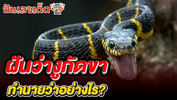รูปภาพทำนายฝันว่างูกัดขาของ lekdedonline