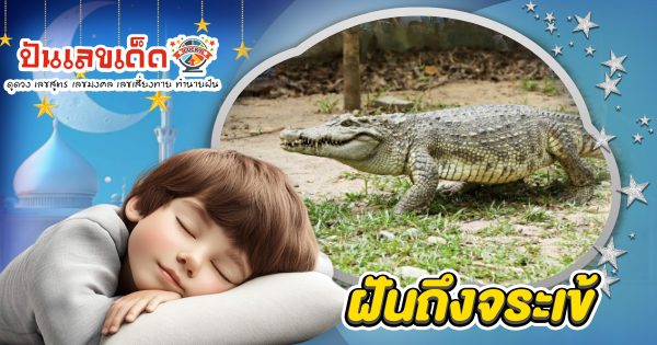 ฝันถึงจระเข้ คือโชคลาภใช่หรือไม่? เปิดคำทำนายสุดแม่น พร้อมเลขเด็ดงวดนี้!