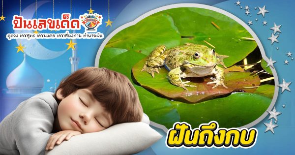 ฝันถึงกบ คือโชคลาภใช่หรือไม่? เปิดคำทำนายสุดแม่น พร้อมเลขเด็ดงวดนี้!