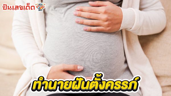 รูปภาพฝันตั้งครรภ์ของ lekdedonline
