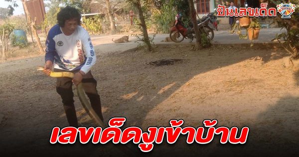เจ้าของบ้านผงะ! กำลังอาบน้ำ เจองูจงอางยักษ์ คอหวยแห่ตี เลขงูเข้าบ้าน 16/2/68