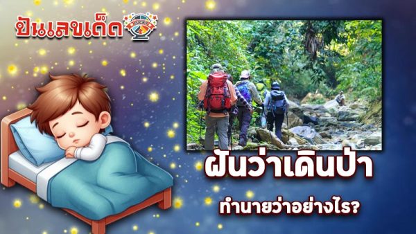 รูปภาพฝันว่าเดินป่าของ heng99