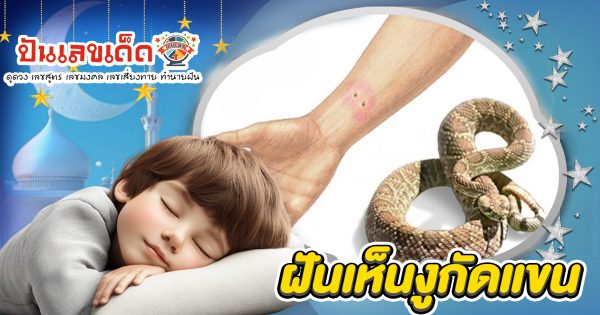 ฝันงูกัดแขน  มีลางดีหรือลางร้าย? เช็กคำทำนาย พร้อมเลขเด็ดที่นี่!