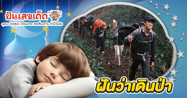 ฝันเดินป่า กำลังสื่ออะไรถึงคุณ? เปิดลางบอกเหตุพร้อมเลขเด็ดสุดแม่น