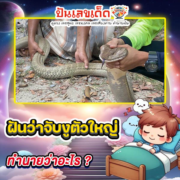 รูปภาพฝันว่าจับงูตัวใหญ่ทำนายว่าอะไรของ lekdedonline