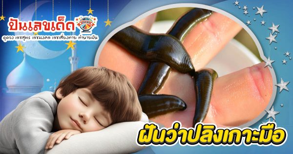 ฝันปลิงเกาะมือ นำโชคลาภหรือเคราะห์ใหญ่? เช็กความหมาย พร้อมเลขเด็ด