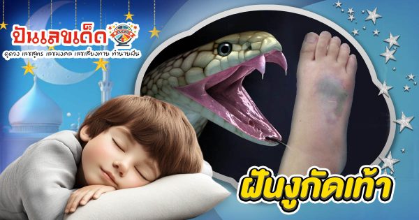 ฝันงูกัดเท้า ฝันว่าโดนงูกัด นำโชคลาภหรือเคราะห์ใหญ่? เช็กความหมาย พร้อมเลขเด็ด