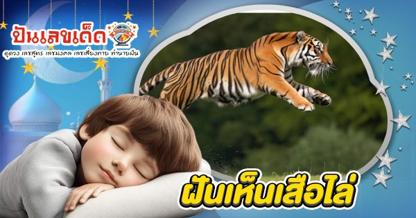ทำนาย ฝันเสือไล่ นำโชคลาภหรือเคราะห์ใหญ่? เช็กความหมาย พร้อมเลขเด็ด