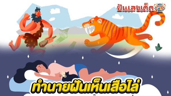 รูปภาพฝันเห็นเสือไล่ของ heng99