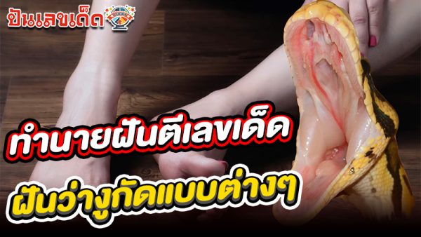 รูปภาพทำนายฝันตีเลขเด็ดงูกัดของ heng99
