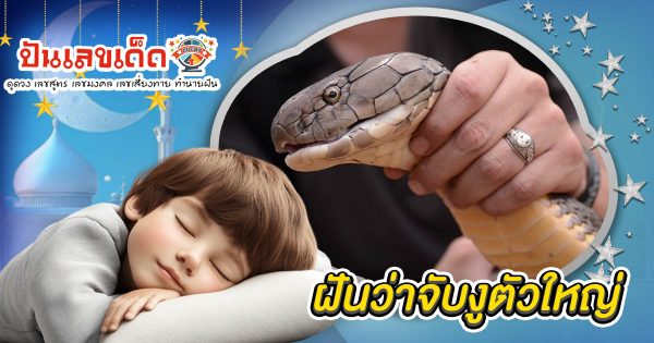 ฝันแปลกแต่จริง ฝันจับงูตัวใหญ่ นำโชคมาให้? ดูคำทำนาย พร้อมเลขเด็ดแม่นๆ