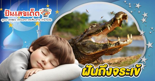 ฝันถึงจระเข้เลข ลางร้ายหรือโชคใหญ่? เปิดคำทำนายฝัน พร้อมเลขเด็ดนำโชค