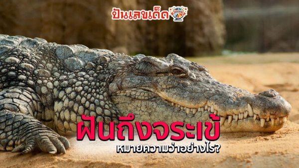 รูปภาพฝันถึงจระเข้ของ lekdedonline