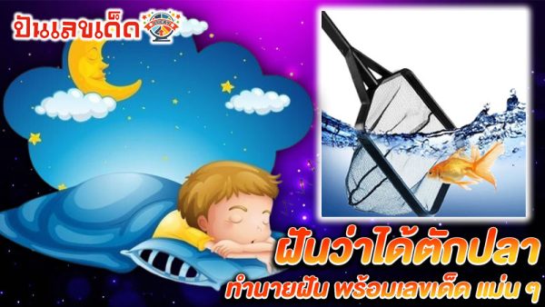 รูปภาพฝันว่าได้ตักปลาของ lekdedonline