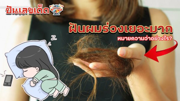รูปภาพฝันผมร่วงเยอะมากของ lekdedonline