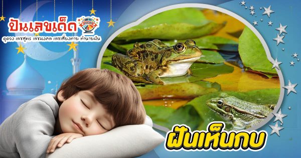 ฝันกบ มีแต่เรื่องดีใช่ไหม หรือต้องรีบแก้เคล็ด เปิดความหมายพร้อมแนวทางเสี่ยงโชค