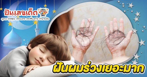 ฝันผมร่วงเยอะมาก เปิดเผยคำทำนายฝันที่คุณไม่เคยรู้  และเลขเด็ดที่ไม่ควรพลาด!