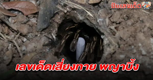 มาแล้ว คอหวยทำพิธีตามความเชื่อ หา  เลขเด็ดพญาบึ้ง 16/4/68 หวังนำไปลุ้นโชครับช่วงสงกรานต์