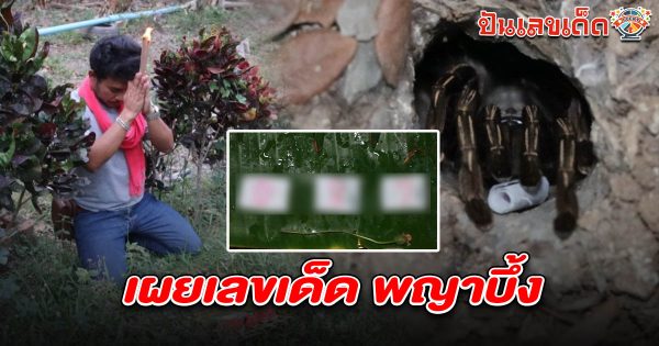 ฮือฮา! พิธีเสี่ยงทาย ‘พญาบึ้ง’ ให้โชค คอหวยเฮลั่น ได้เลขเด็ด ‘เลขพญาบึ้ง 2/5/68’ ตรงเป๊ะ!