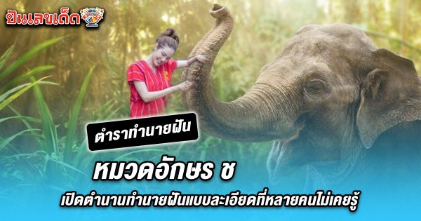 ทำนายฝัน หมวดอักษร ช มีแต่เรื่องดีใช่ไหม หรือต้องรีบแก้เคล็ด เปิดความหมายพร้อมแนวทางเสี่ยงโชค