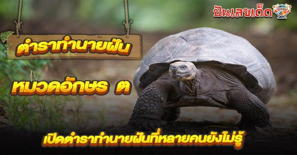 ทำนายฝัน หมวดอักษร ต ความหมาย คำแปล และเลขเด็ดลุ้นโชค