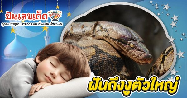 ฝันถึงงูตัวใหญ่ ฝันเกี่ยวกับงู จะเป็นเรื่องดีหรือร้าย ? หมายความว่ายังไง พร้อมบอกเลขเด็ดนำโชค!