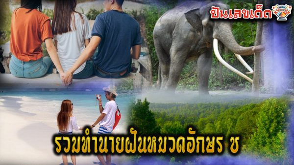รวมทำนายฝันหมวดอักษร ช ของ lekdedonline