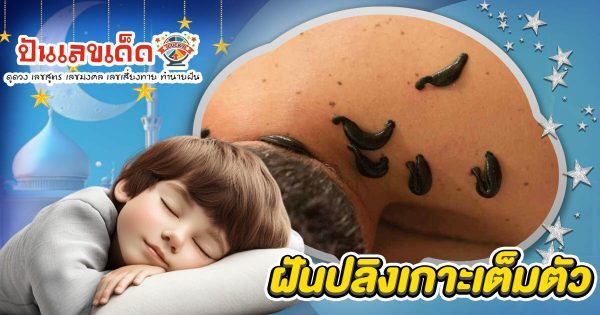 ฝันปลิงเกาะเต็มตัว ฝันว่าปลิงเกาะ ลางดีหรือลางร้าย? มีโชคหรือไม่? ทำนายฝัน พร้อมตีเลขเด็ดที่นี่!