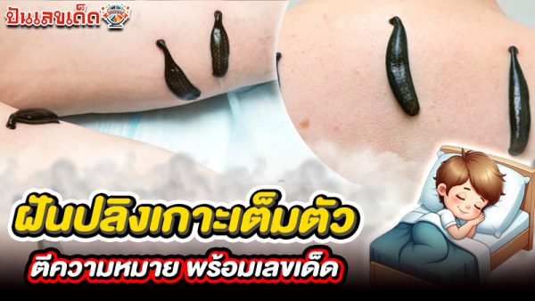 รูปภาพตีความฝันพร้อมเลขเด็ดของ heng99
