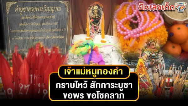 รูปภาพขอพรขอโชคลาภเจ้าแม่หมูทองคำของ lekdedonline
