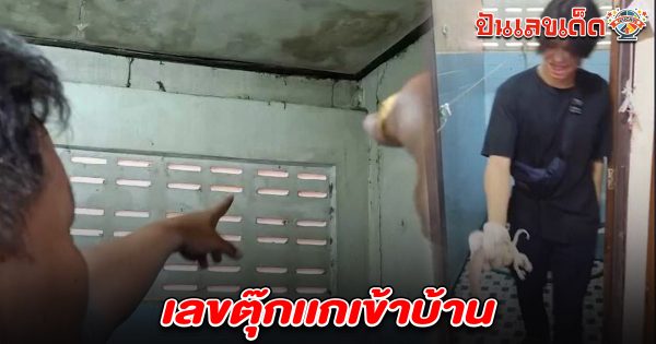 ตั้งศาลรอบที่แล้วถูกหวย กลับมาทำความสะอาด เจอ ครอบครัวตุ๊กแก คอหวยไม่พลาดส่อง เลขตุ๊กเเกเข้าบ้าน 16/5/68 ลุ้นรวยงวดนี้