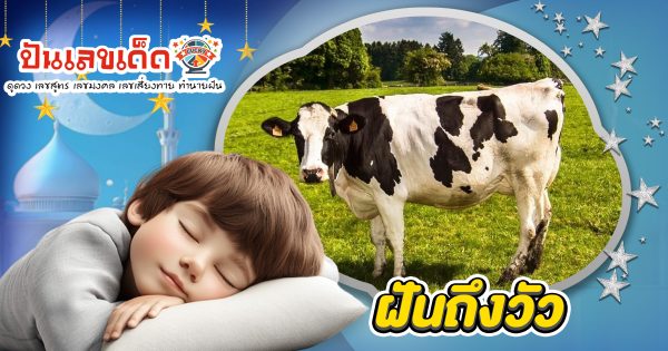 ฝันถึงวัว หมายความว่าอะไร ? ดีหรือร้าย! ดูคำทำนายฝัน พร้อมส่องเลขเด็ดนำโชค
