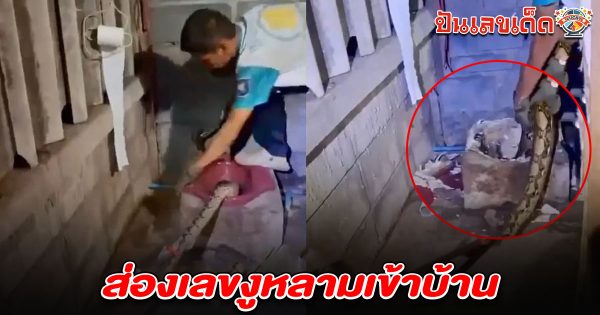 แตกตื่นทั้งบ้าน! งูหลามยักษ์โผล่ในโถส้วม เจ้าหน้าที่ทุบช่วยชีวิต คอหวยไม่พลาดส่อง เลขงูหลามเข้าบ้าน 1/8/68 ลุ้นรวยงวดนี้