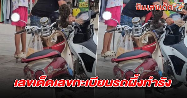 คอหวยไม่พลาด แห่ส่องทะเบียน จอดรถไว้แปบเดียว ผึ้งเกาะทำรัง คอหวยลุ้น เลขทะเบียนรถผึ้งทำรัง เลขเด็ด 16/7/68 ลุ้นโชคงวดนี้